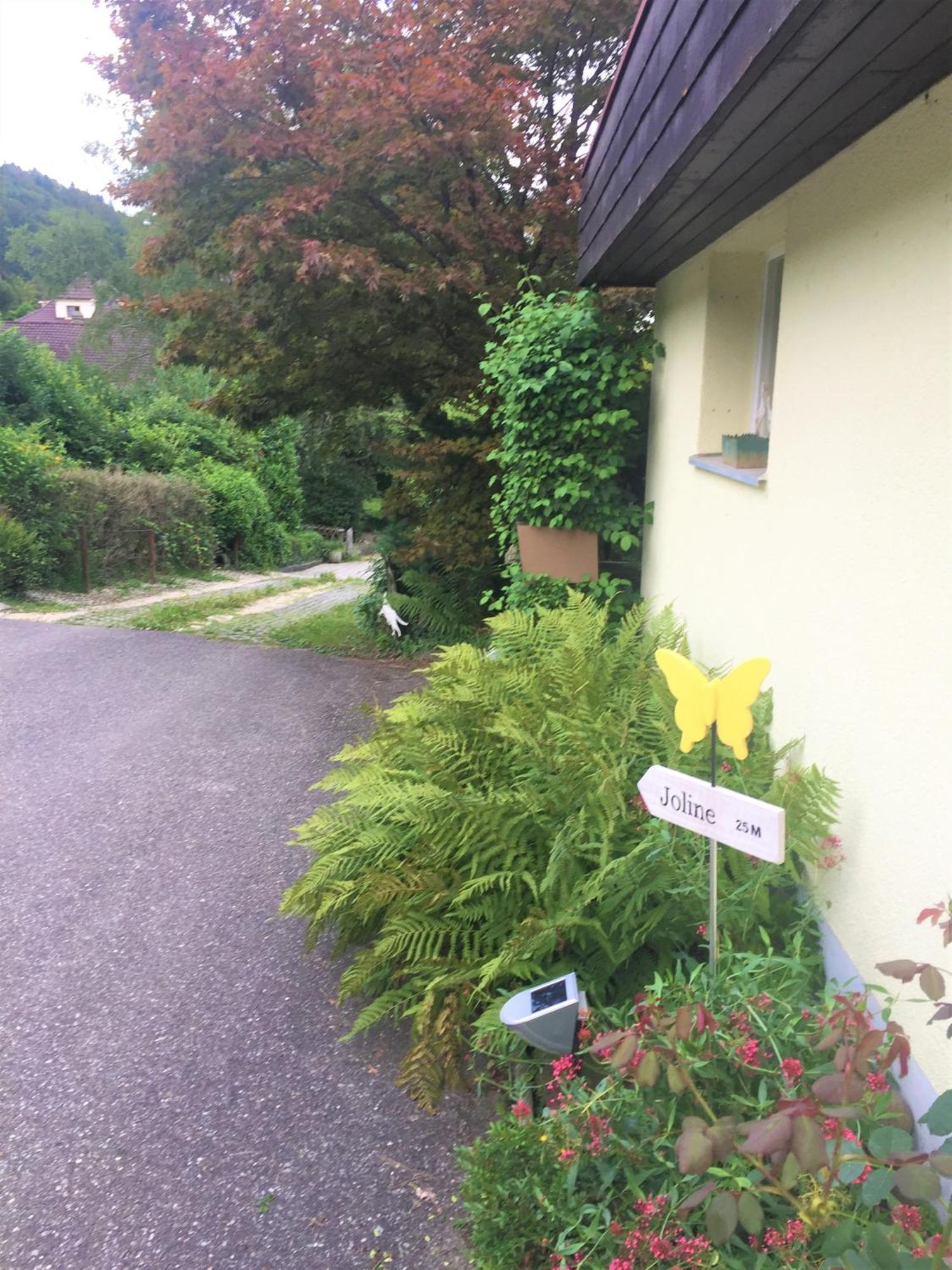 Apartment Joline Private Guest Just Feel At *